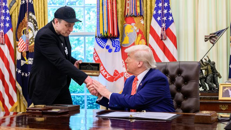 Elon Musk in Donald Trump