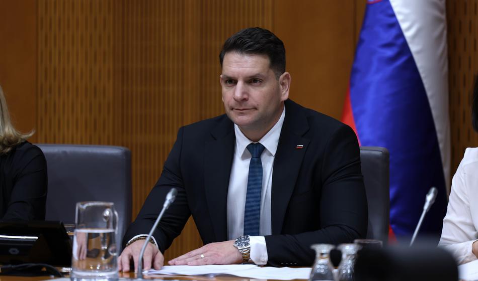 Stevanović: Na referendumih so se pojavljale "neke nelogične zadeve"