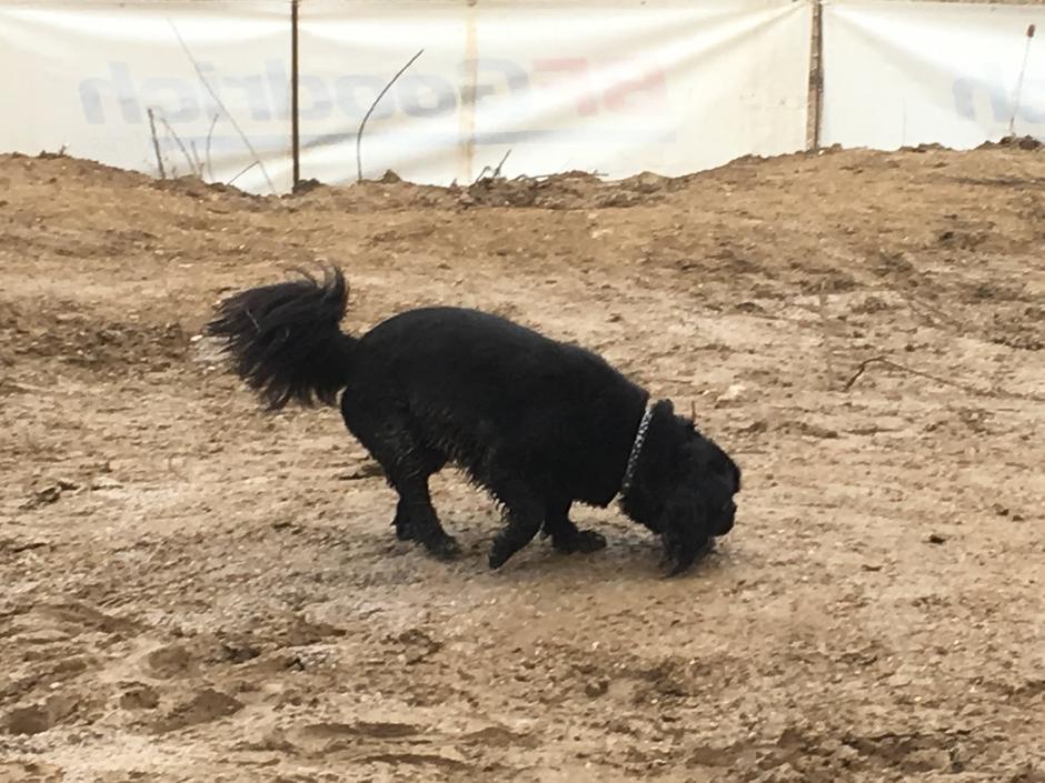 Slovenija OffRoad 2018 v Radovljici | Avtor: M.Mr.