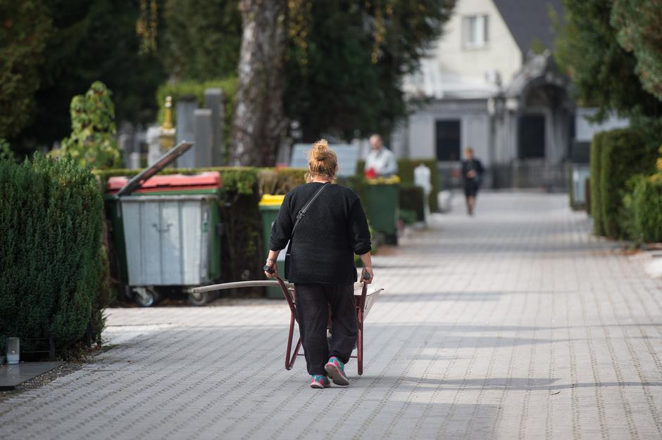 Žale | Avtor: Anže Petkovšek