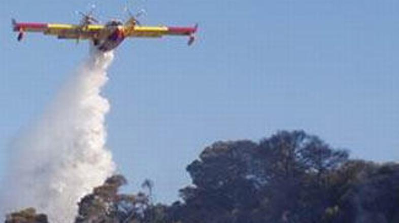 Pri gašenju pomagajo trije canaderji.