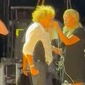 rod stewart