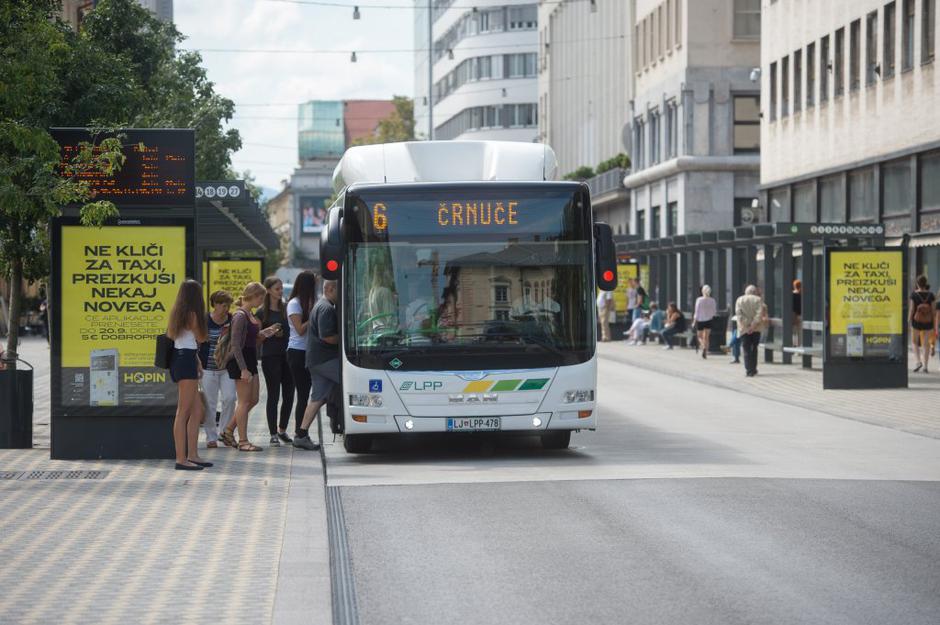 LPP | Avtor: Anže Petkovšek