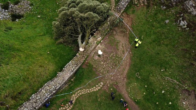 Sycamore Gap