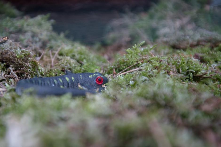 bioexo | Avtor: Anže Petkovšek