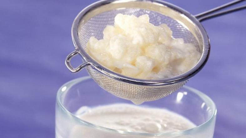 kefir