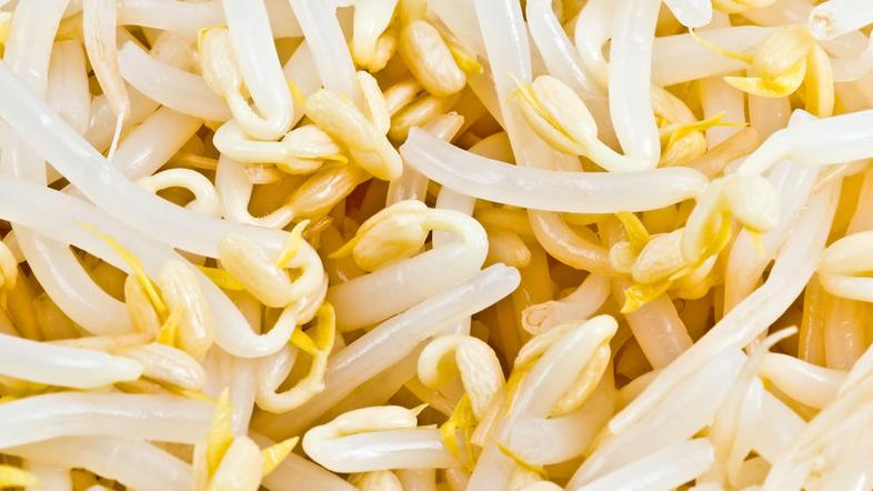 (Foto: Shutterstock)