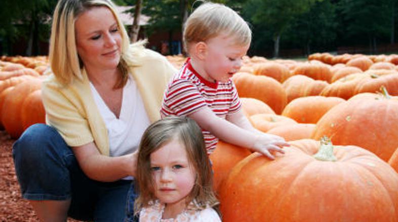 Raziskave so pokazale, da starejše mame več časa posvetijo družini in vzgoji otr