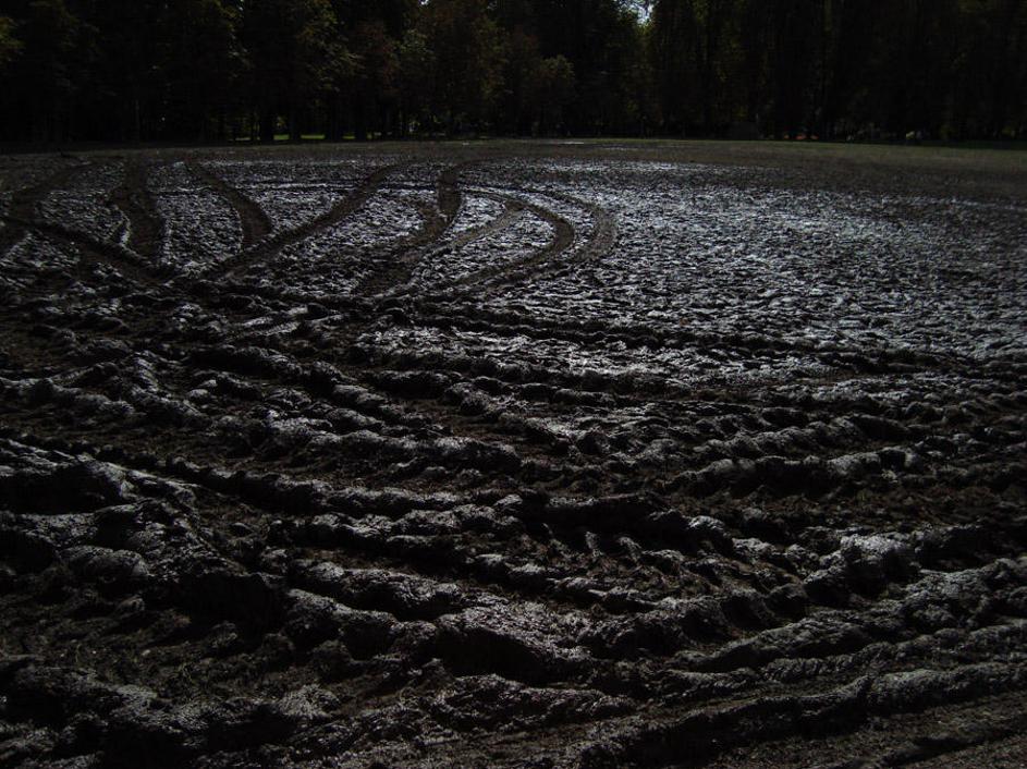 Žur z razlogom, travnik