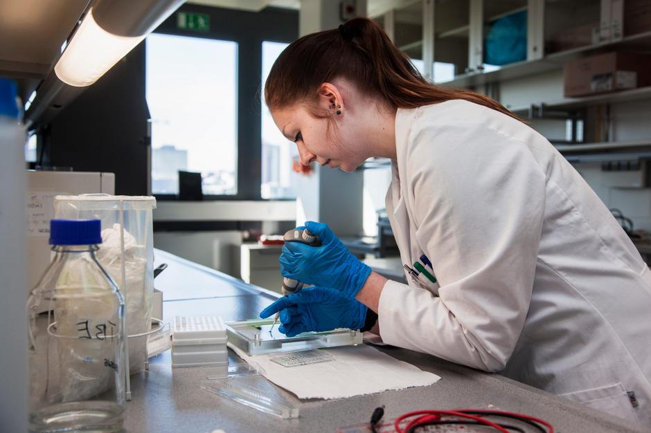 Študent | Avtor: Profimedia