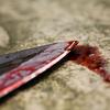 Nož kri nasilje umor dokaz