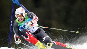 Dalibor Šamšal Hrvaška smučanje