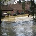 Kostanjevica na Krki, septembrske poplave