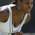 Serena Williams wimbledon