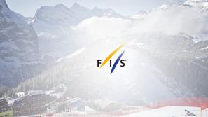 fis logo