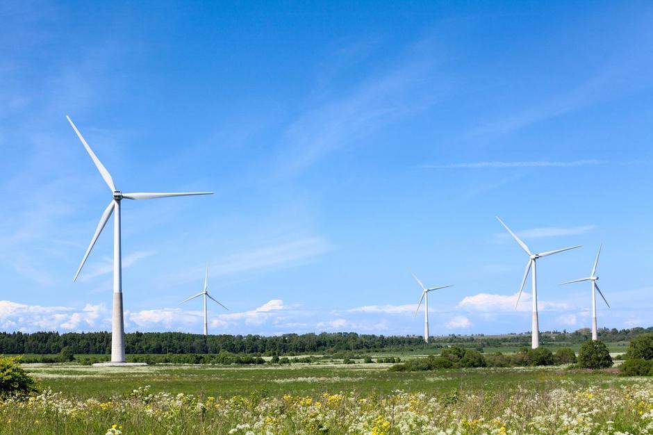 vetrnica vetrno polje vetrna energija | Avtor: Profimedia