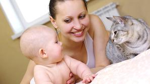 zivljenje 05.02.14. dojencek, macka, mama, foto: shutterstock