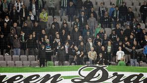 Mura Olimpija navijači Green Dragons