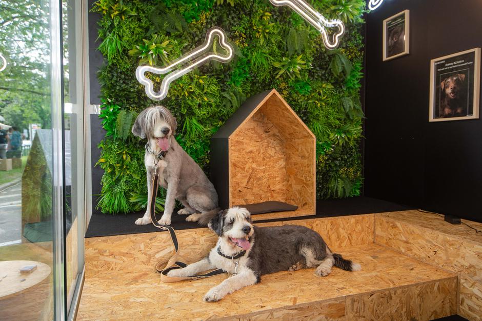 Festival za ljubitelje živali 2023 | Avtor: Anže Petkovšek