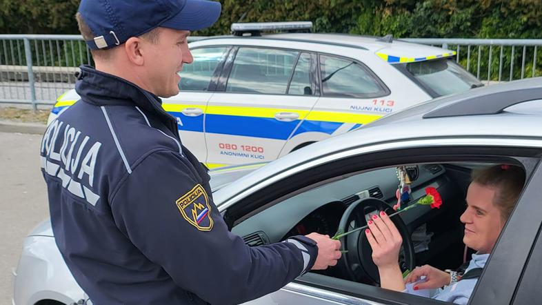 Poklon rož za 8. marec