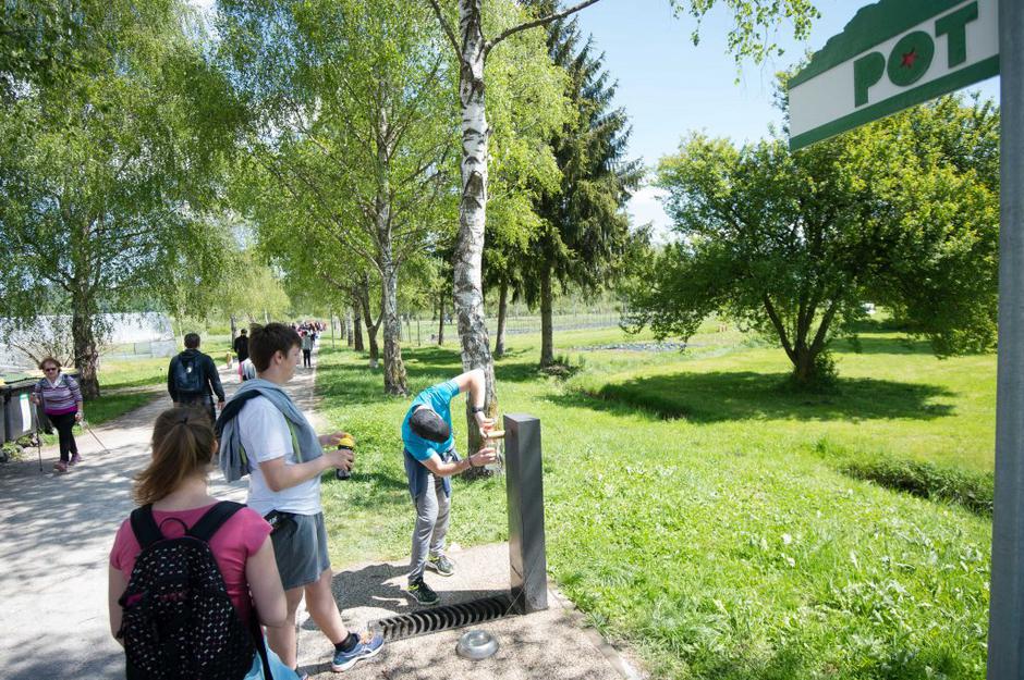 pot ob žici | Avtor: Anže Petkovšek