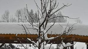 Sneg na območju Kočevja