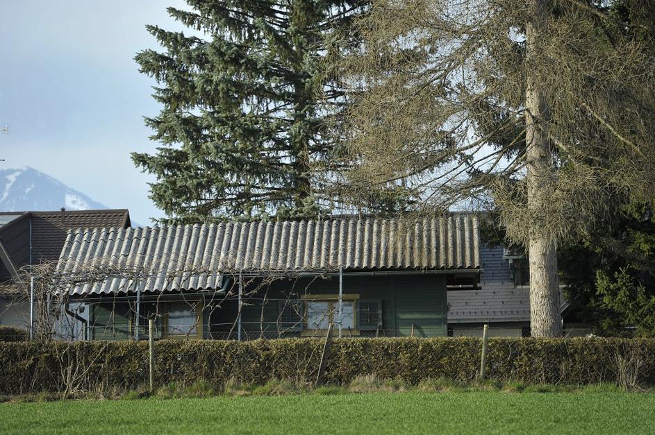 Brunarica Alenke Bratušek