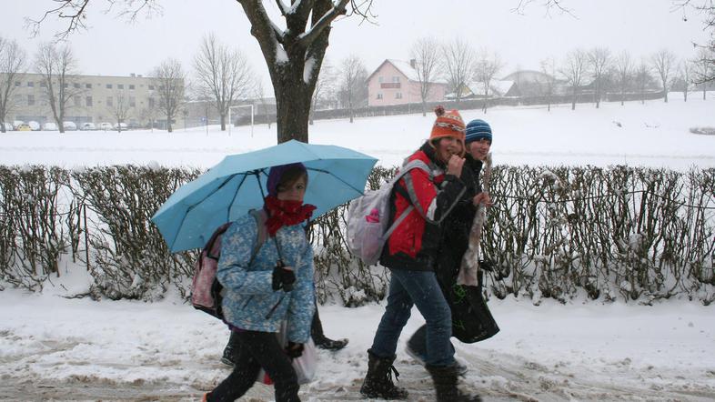 Kaj jedo šolarji v Osnovni šoli Bršljin Novo mesto, bo zdaj pregledovala tudi po