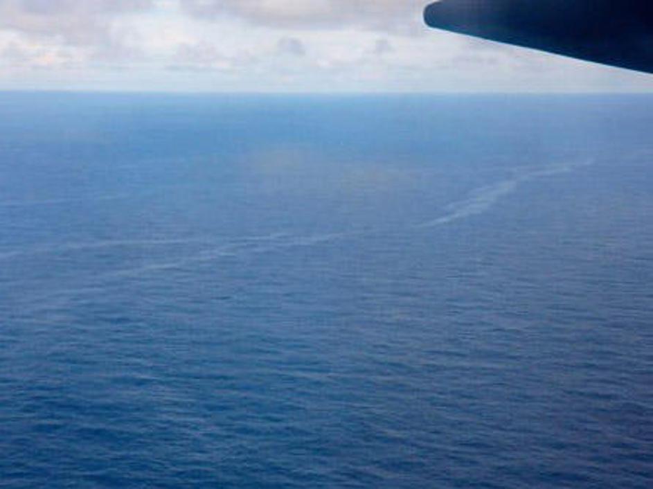 Oljni madež postaja čedalje večji, južni obali ZDA pa grozi največja ekološka ka