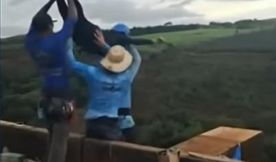 Video: dekle vrgli z mostu, na bungee vrv pozabili ...