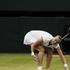 Kvitova Wimbledon OP Anglije grand slam