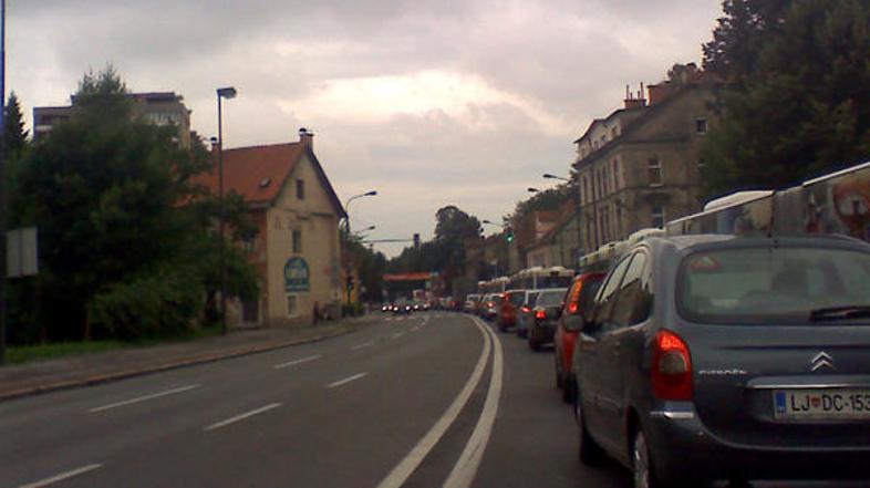 Na Celovški cesti bodo v bližini parka Tivoli zastoji zaradi vejih vzdrževalnih 