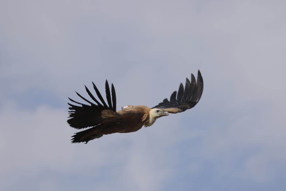  | Avtor: Matej Gamser