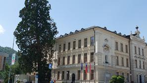 Drevo ob Gimnaziji Kranj