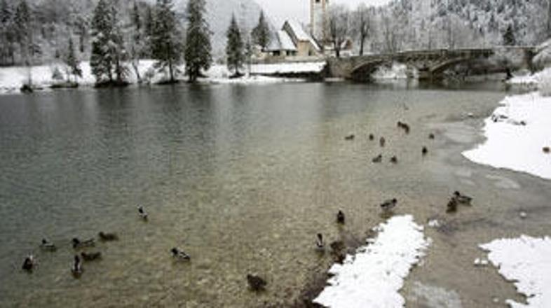 Bohinjsko jezero je med preostalimi slovenskimi najboljše kakovosti.