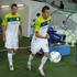 slovenija nogometna reprezentanca iličić matavž