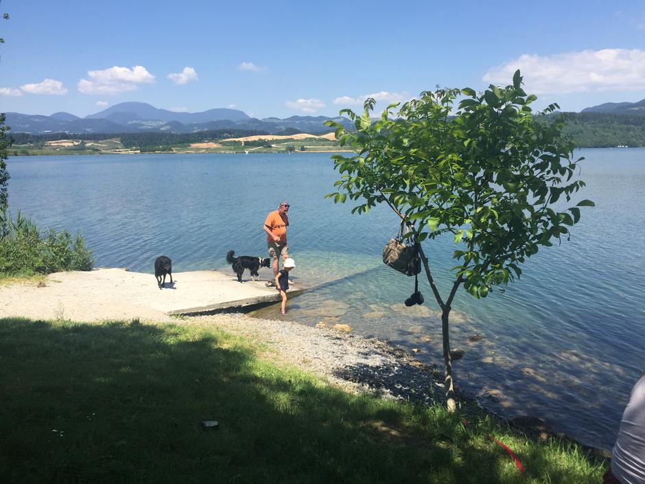 Urša, Kam z mulcem | Avtor: Andreja Cilenšek