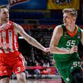 Crvena zvezda Cedevita Olimpija