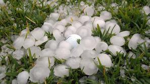 (Foto: Naša bralka)