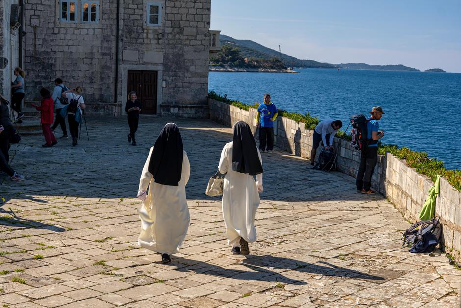  | Avtor: Dimitri Medvedev