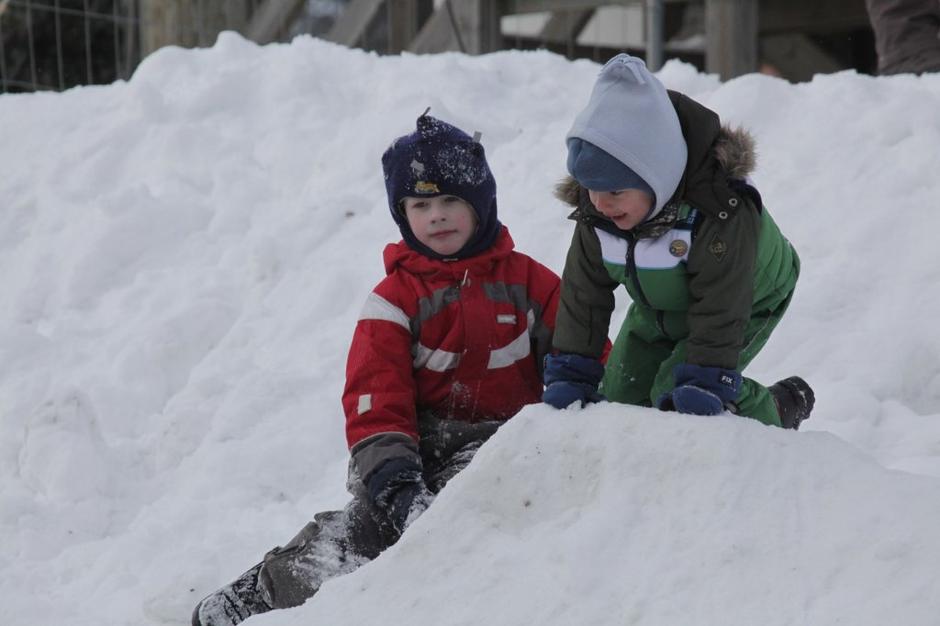 Šola v naravi | Avtor: Profimedias
