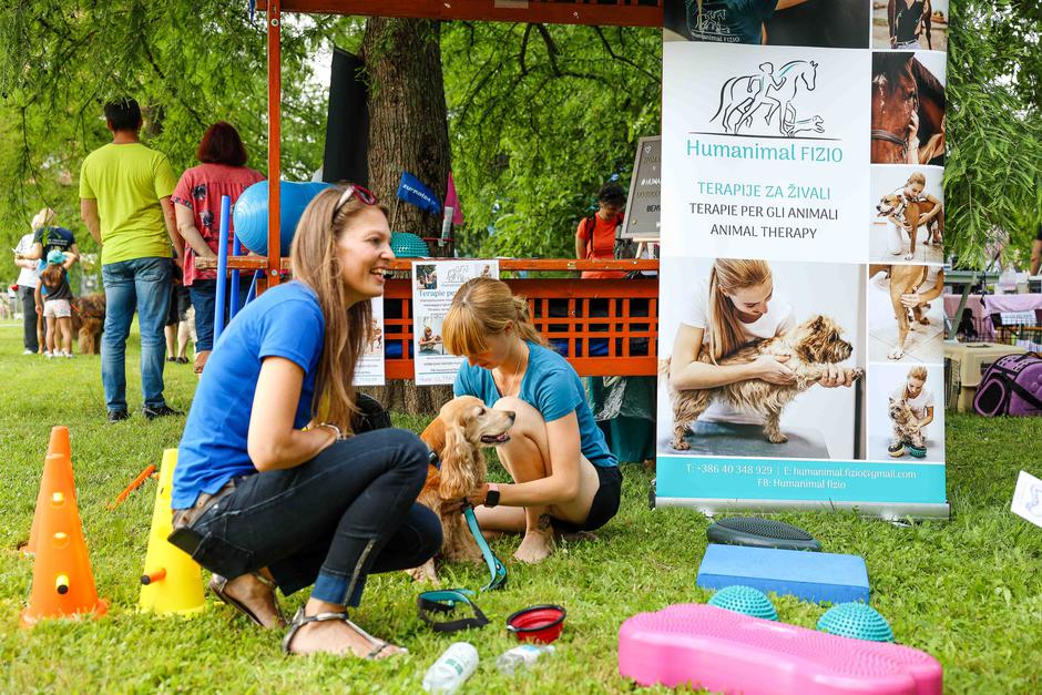 Festival za ljubitelje živali 2023 | Avtor: Saša Despot