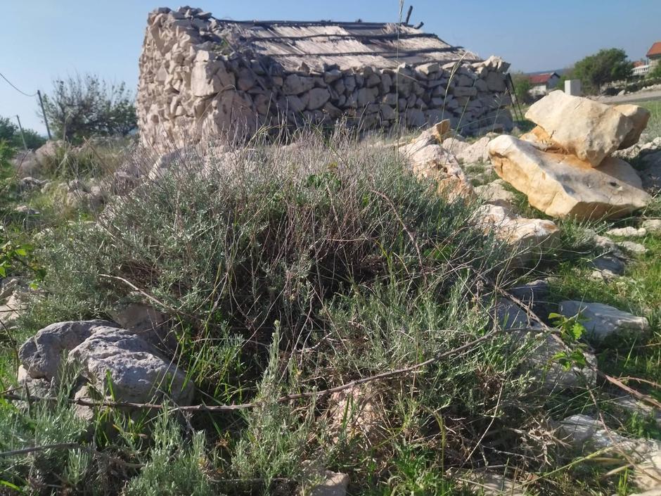 Krk, Rudine | Avtor: S. H. H.