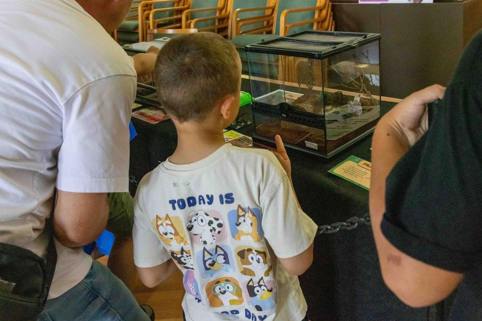 Festival za ljubitelje živali 2026 | Avtor: Cimet Studio