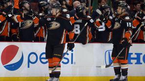 anaheim ducks