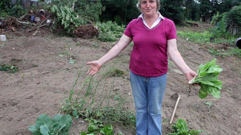 Podiranje barak se nadaljuje kljub prepovedi ljubljanskega župana Zorana Jankovi