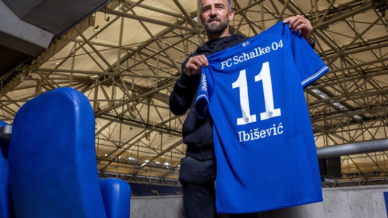 Vedad Ibišević Schalke 04