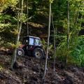 traktor gozd spravilo lesa