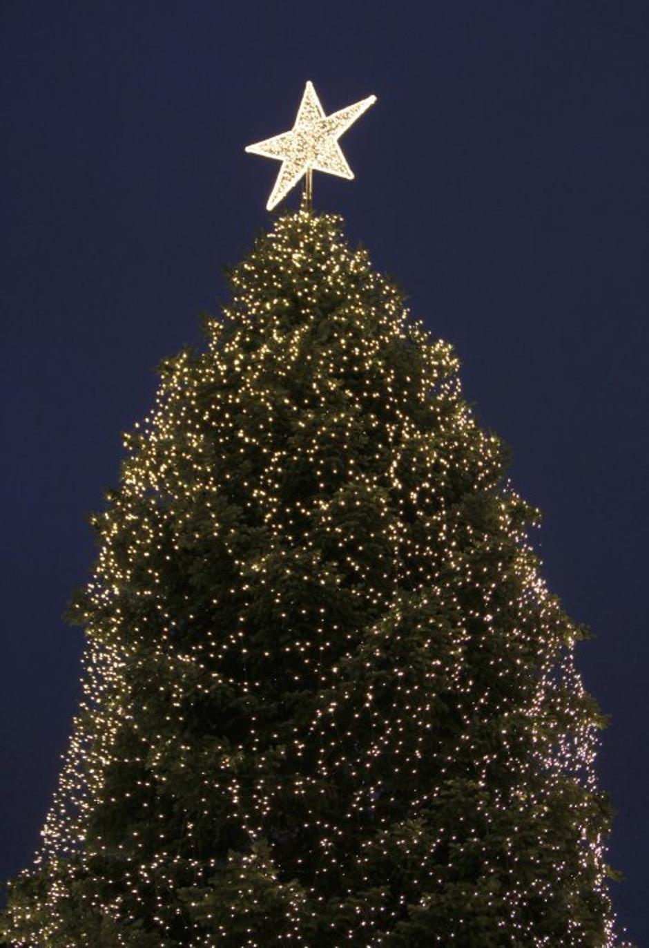 Praznično okrašeno novoletno drevo | Avtor: Reuters