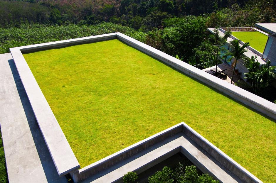 Zelena streha | Avtor: Profimedia
